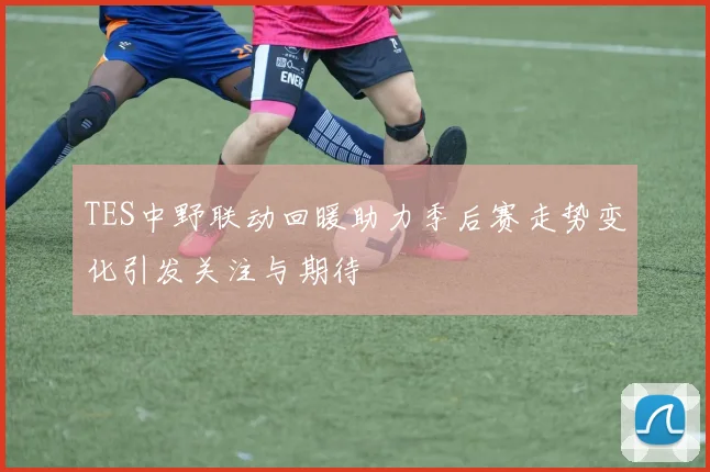TES中野联动回暖助力季后赛走势变化引发关注与期待